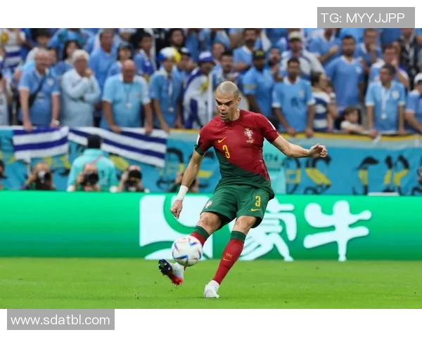 摩洛哥三年前爆冷葡萄牙，首进四强，非洲雄狮的传奇征程